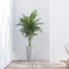 Ecopots Stockholm High Durable Modern Round Indoor/Outdoor Recycled-Based Composite Flower Pot Planter - 3 of 4