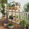 Bamboo Plant Stand Indoor, 2 Tier Plant Table for Indoor Plants, Window Tall Plant Bench Shelf Flower Pot Holder for Living Room Patio Balcony - 2 of 4