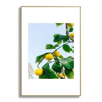Bethany Young Photography Amalfi Coast Lemons 24"x36" Gold Metal Framed Art Print - Deny Designs