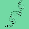 Women's Design By Humans DNA Piano By Tobiasfonseca Racerback Tank Top - 2 of 3