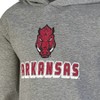 NCAA Arkansas Razorbacks Boys' Gray Hoodie - 3 of 3