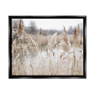 Stupell Industries Rural Pampas Grass Reeds Lakeside Pond MarshFloater Canvas Wall Art