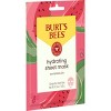 Burt's Bees Hydrating Sheet Mask Watermelon - 1ct - image 2 of 4