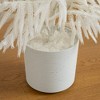 Nearly Natural 3' Artificial Real Touch White Norfolk Island Pine Christmas Tree with Natural Look - 3 of 4