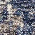 medium gray, cream, light blue, navy