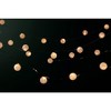 LED Crackle Glass Ball Light String 11'L - 3 of 4