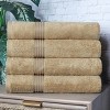 Premium Cotton Absorbent Luxury Weight Set by Blue Nile Mills - 2 of 4