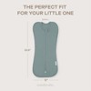 Swaddle Blanket Baby Girl Boy Easy Zipper Wrap 2 Pack Newborn Infant Sleep Sack by Comfy Cubs - 4 of 4