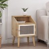 HDZNVF 24.25 Inches High Rattan End Table, Natural and White - 3 of 4