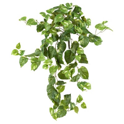 Pothos Hanging Bush 3pk (40") - Nearly Natural