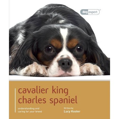 Cavalier King Charles - (Dog Expert) by  Lucy Koster (Paperback)