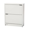 Simms 2 Drawer Modern Shoe Cabinet - Baxton Studio - 3 of 4