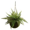 Artificial Leather Fern With Mossy Hanging Basket Indoor / Outdoor Set Of 2 - Nearly Natural: Faux Plant Decor, Mid-Century Style - 2 of 4