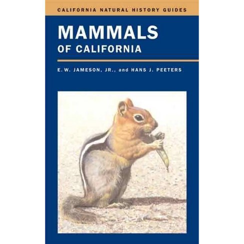 Mammals Of California - (california Natural History Guides) By E W ...