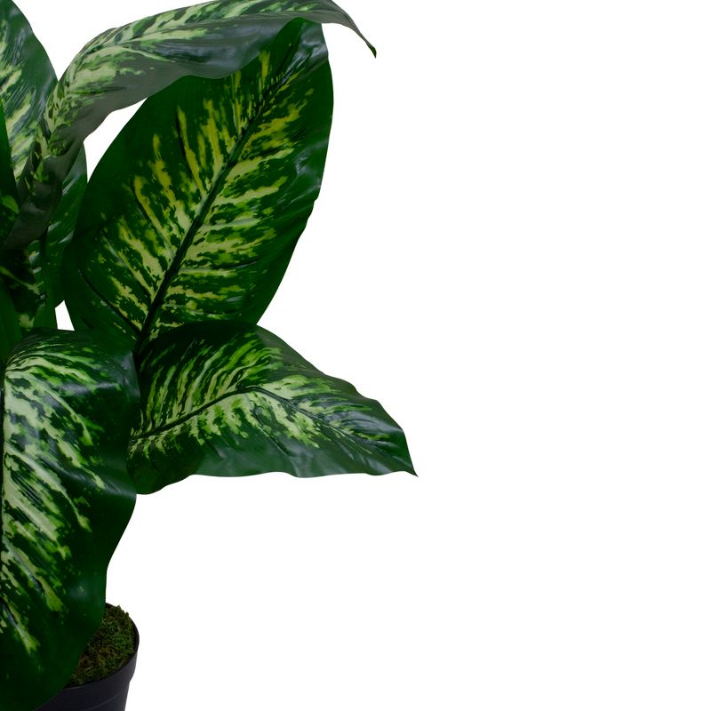 Northlight 36" Artificial Green and Ivory Variegated Leaf Dieffenbachia Potted Plant, 3 of 5