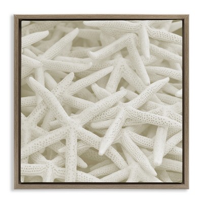 Stupell Industries Nautical White Starfish Photography, 25" x 25"
