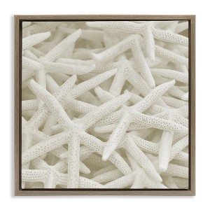 Stupell Industries Nautical White Starfish Photography, 25" x 25" - 1 of 4