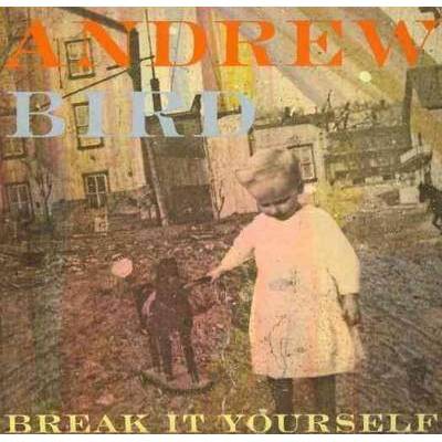 Andrew Bird - Break It Yourself (CD)