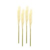 Melrose Pampas Gass Stem (Set of 4) - 2 of 2