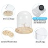 Unique Bargains Wooden Base LED Fairy Light Decor Glass Bell Jar Display Case - 3 of 4