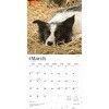 BrownTrout Border Collies 2026 12"x24" Hanging Square Wall Calendar Plastic-Free - 3 of 4