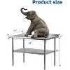 Work Table, Stainless Steel Kitchen Prep Table with Adjustable Undershelf - Commercial Metal Table for Home Restaurant Hotel Silver - 3 of 4