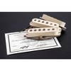 Seymour Duncan Bonamassa 64 Greenburst Strat Limited Edition Pickup Cream Set - 3 of 3