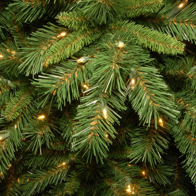 6.5' Pre-lit Slim Tiffany Fir Artificial Christmas Tree Clear Lights - National Tree Company, 3 of 6