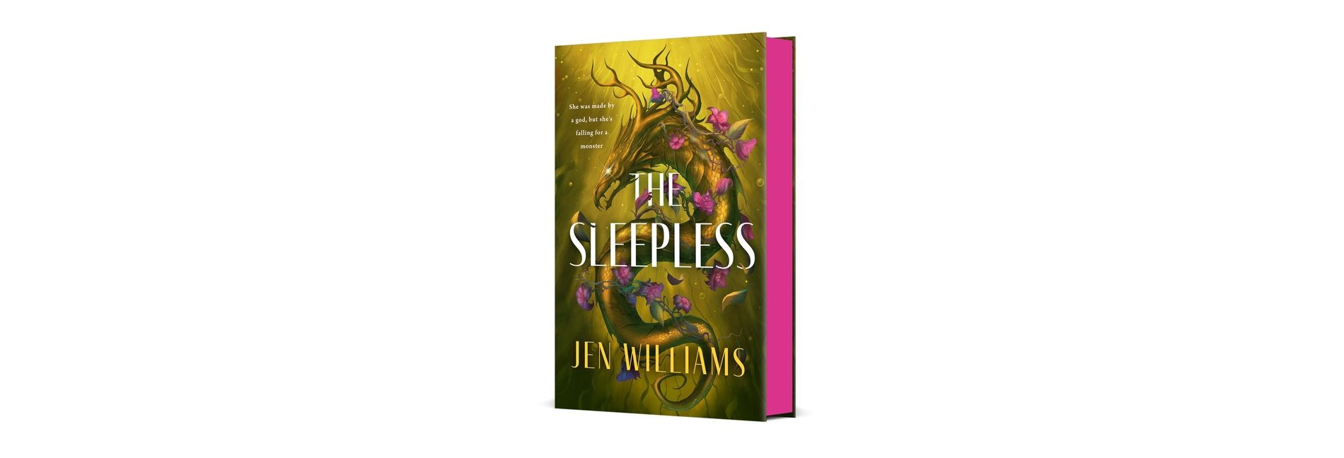The Sleepless - by  Jen Williams (Hardcover)