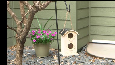 Whimsical Natural Wooden Hanging Bungalow Birdhouse
