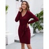 Women's Sweater Dress 2025 Fall Winter V Neck Long Sleeve Ribbed Knit Tie Waist Bodycon Slim Fit Mini Dresses - 2 of 4