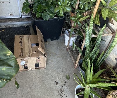 Guest review image 1 of 1, zoom in