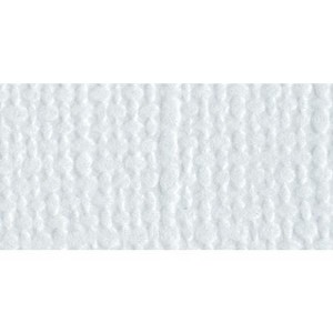 Bazzill Mono Cardstock 12"X12" - 1 of 1