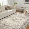 Vintage Area Rugs for Living Room, Washable Carpet Indoor Non Slip Large Area Rugs, Soft Low Pile Rug Foldable Floor Rug - 3 of 4