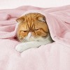 Cozy Comfort by Bedsure | Flannel Blanket Solid 260GSM Soft Fuzzy Plush Bed Blanket - 3 of 4
