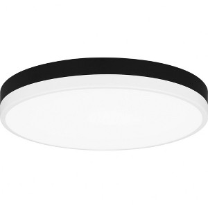 Quoizel Lighting Weldin 1 - Light Flush Mount in  Matte Black White - 1 of 4
