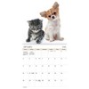 Trends International 2026 Buddies 12"x12" Wall Calendar - 2 of 4