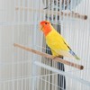 Garvee Standing Large Bird Cage, Parakeet Cage Bird Cage for Parrots, Macaw, Cockatiels, Canary, Finch, Lovebirds, Pigeons - 2 of 4