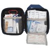 Lifeline 53-Piece Compact First Aid Emergency Kit – Hard Shell Case – Travel, Car, Camping, Hiking, Sports, Home Safety Essentials - 3 of 4
