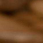 olive, burntorange, offwhite, mediumgray, darkblue, darkbrown