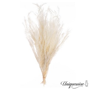 Uniquewise Preserved Real Floral Stems Chic Vase Fillers & Accents for Bouquets Centerpieces - 1 of 4