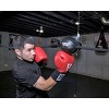 Title Boxing Pro Horizontal Speed Ball - 2 of 3