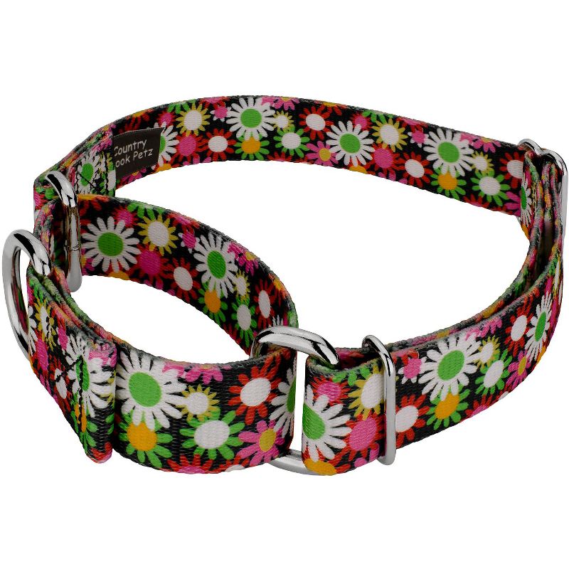 Country Brook Petz Daisy Fields Martingale Dog Collar, 6 of 9