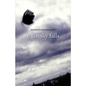 If the Sky Falls - (Yellow Shoe Fiction) by  Nicholas Montemarano (Paperback) - 1 of 1