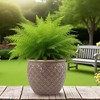 Wooakway 15" Dia Outdoor Indoor Ceramic Planter Pot Decorative Planter with Drainage Hole Patio Flower Pot - 3 of 4