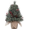 Acekool 2ft Mini Tabletop Tree - Pre-Lit LED Decor with Pinecone Accents - 2 of 4