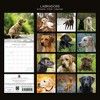 2026 Square Wall Calendar, Labradors, 16-Month Animals Theme with 180 Reminder Stickers (12x12 In) - 4 of 4