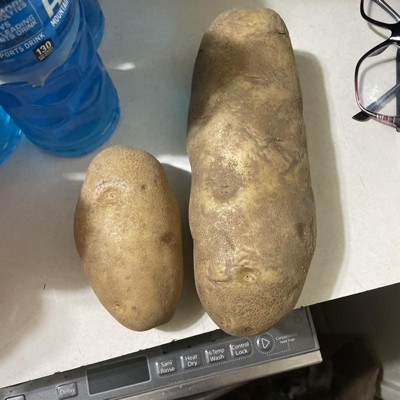 Russet Potato - Each : Target