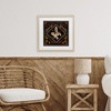 Stupell Industries No Risks or Magic Owl Framed Print Under Glass - 3 of 4