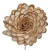 Vickerman 4" Natural Botanicals Dried Sola Flower on Wire Stem - 2 of 4
